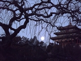 Full moon behind Jingshan temple
