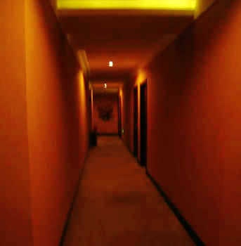 Corridor - Changchun Orchid Hotel