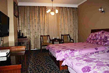 Guest Room - 