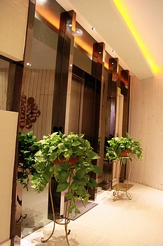 Lobby - Lvluo Hotel - Qingdao