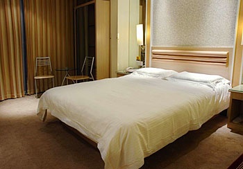 Single Room - Li Jing Business Hotel - Wuhan