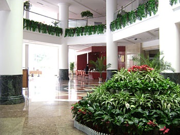 Lobby - Weifang sunshine Spring Hotel