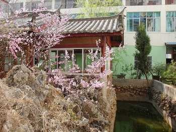 Hotel Grounds - Jintai Hotel - Lijiang