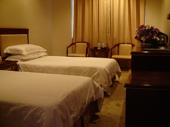 Guest Room - Dunhuang Hotel flower rain express