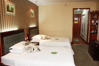  - Xinjiang Wang Telford Hotel