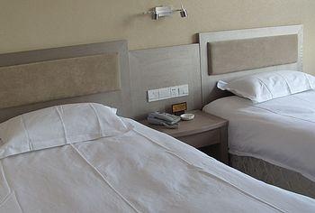  - Urumqi White Swan Inn Hotel Airport