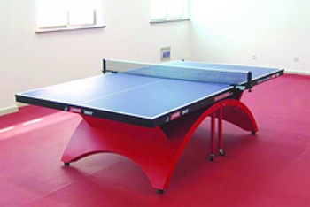 Table Tennis - Bandao International Hotel - Jingdezhen