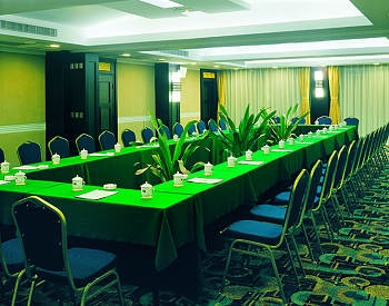 Multi-function Hall - The Park Hotel Changsha