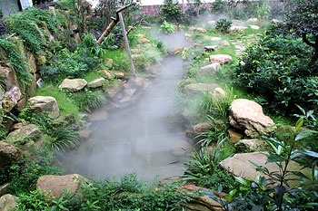 Garden - Xiang Dian International Hotel Zhangjiajie