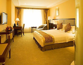 Business Single Room - Forstar Hotel