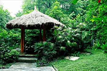 Hot Spring - Emei Heavenage Hot Spring Holiday Villa - Emeishan