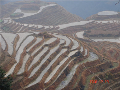 Longji Rice Terraces Coach Tour