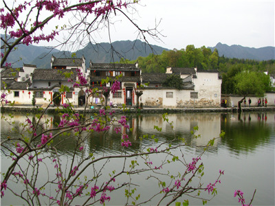 HuangShan-Yixian One Day Tour(Ancient Village of Xidi and Hongcun- Ancient Street in Tunxi)