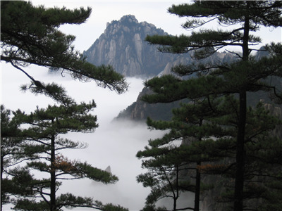  3 Day Mt Huangshan and Hongcun Village Tour