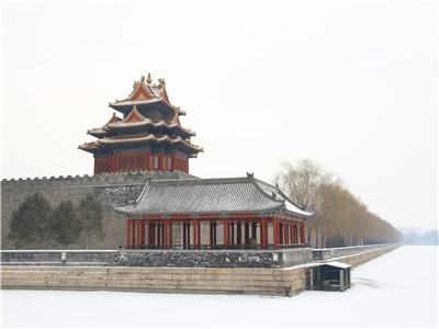 Downtown 1 Day Tour Pakcage to Tiananmen Palace Museum and Temple of Heaven