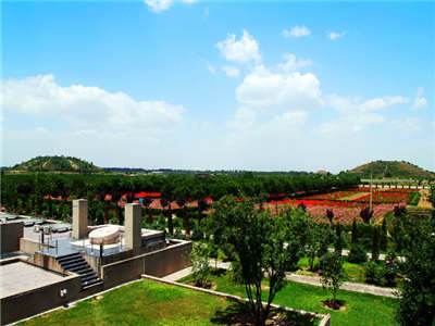 Half-Day Tour to Museum of Terra-Cotta Warriors and Emperor Qinshihuang Mausoleum