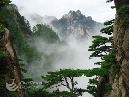 Huangshan Green Pines and Sea of Clouds Day Tour