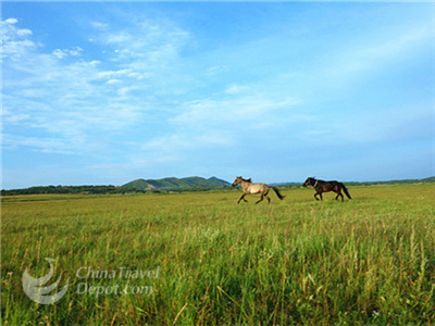 2 Days Xilamuren Grassland Tour