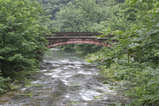 Bridge in Zhangjiajie National Forest Park