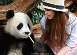 Girl with Panda