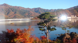 The momiji in hot springs