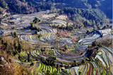 Yuan Yang Terraced Field 