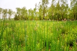 Beijing Olympic Park