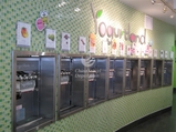 Yogurtland