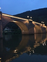 Heidelberg's Night