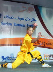 Shaolin Kungfu