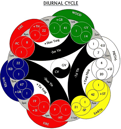 The interdependence of Zang Fu networks