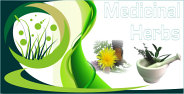 Medicinal herbs