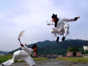 Wudang Kungfu